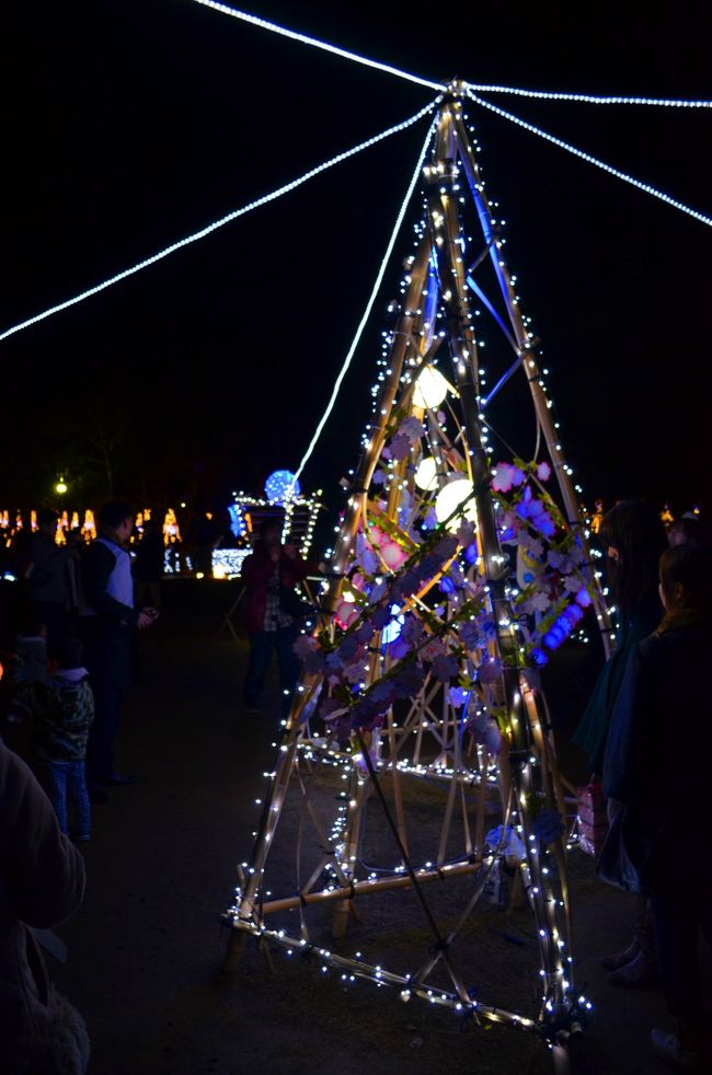 これが七夕ツリーなのですね。