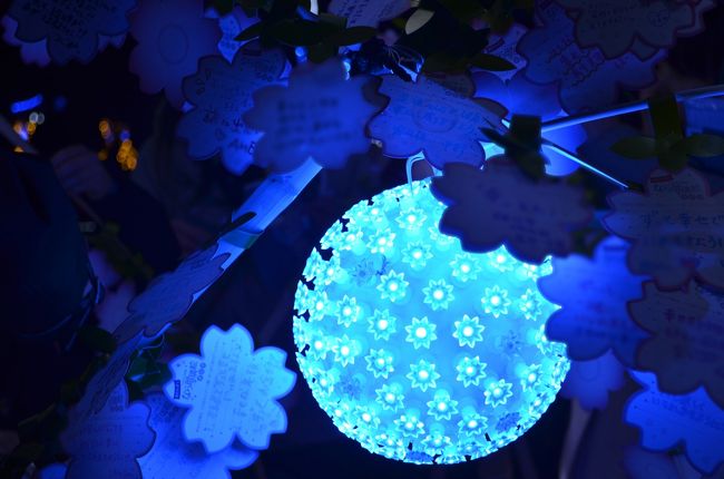 ブルーも花電球も素敵!!<br />皆さんの願い事が叶いますように・・・