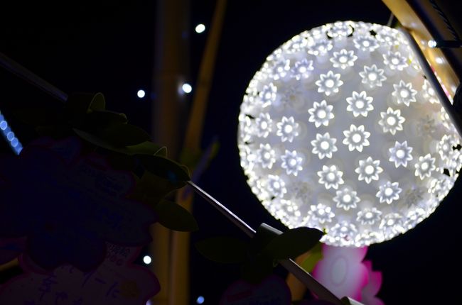 こんなに可愛い花電球なのです(*^_^*)