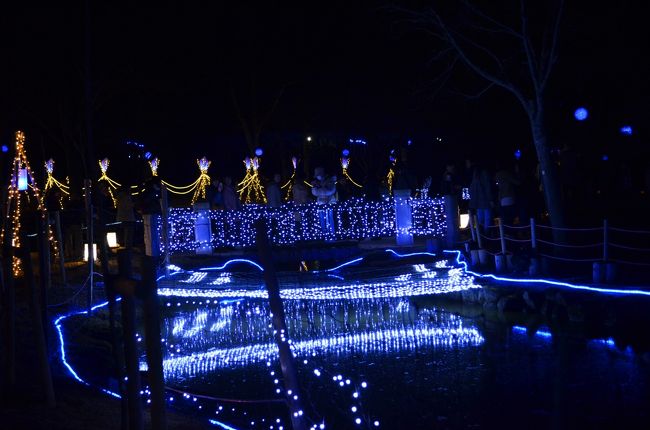 川面にイルミネーションの絵画が映し出されます。