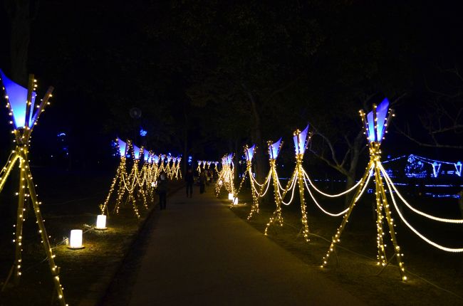 高貴な色である瑠璃色をモチーフに底冷えのする奈良を冬を美しく彩ります。（HPより）