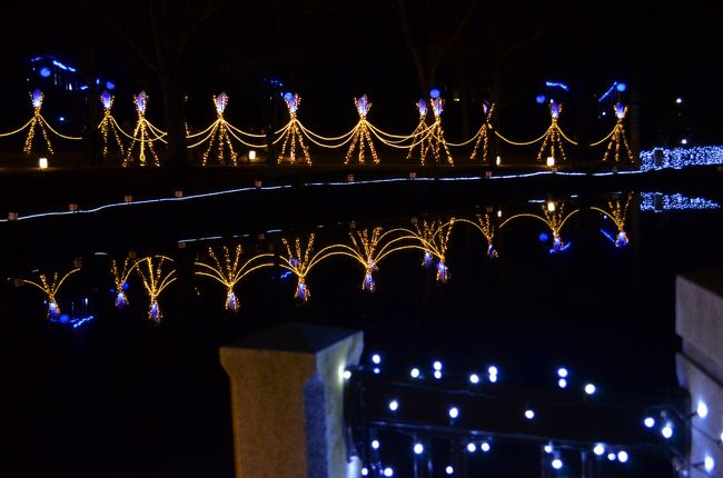 池にライトアップが反射しとっても美しい。