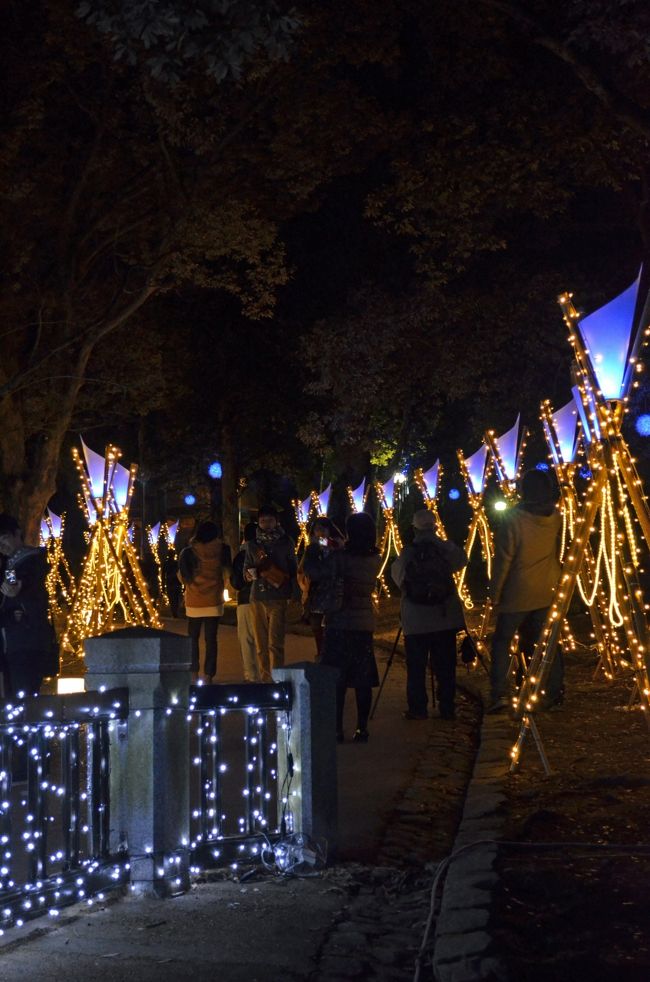瑠璃色で照らすトーチのような美しいイルミネーションが続く道