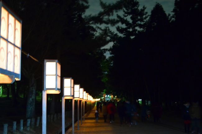 参道沿いに優しい灯りがずっと設置されています。