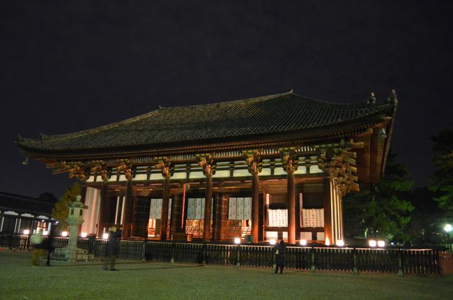 薬師如来が安置されている「東金堂」も照らされています。