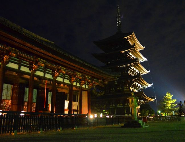 なら瑠璃絵のHPの「開催趣旨」の最後に素敵な一節がありました。<br />「それぞれの社寺で手を合わせて頂くことで、心が洗われ、しあわせが訪れることを、そしてその小さな祈りの数々が大きな平和の祈りとなって世界に届くように、瑠璃色の星がいつまでも美しく輝くように、そんな願いを込めて実施いたします。」<br />きれいなライトアップイベントにこんな思いがあったのですね。参加できてよかったです・・・<br /><br />