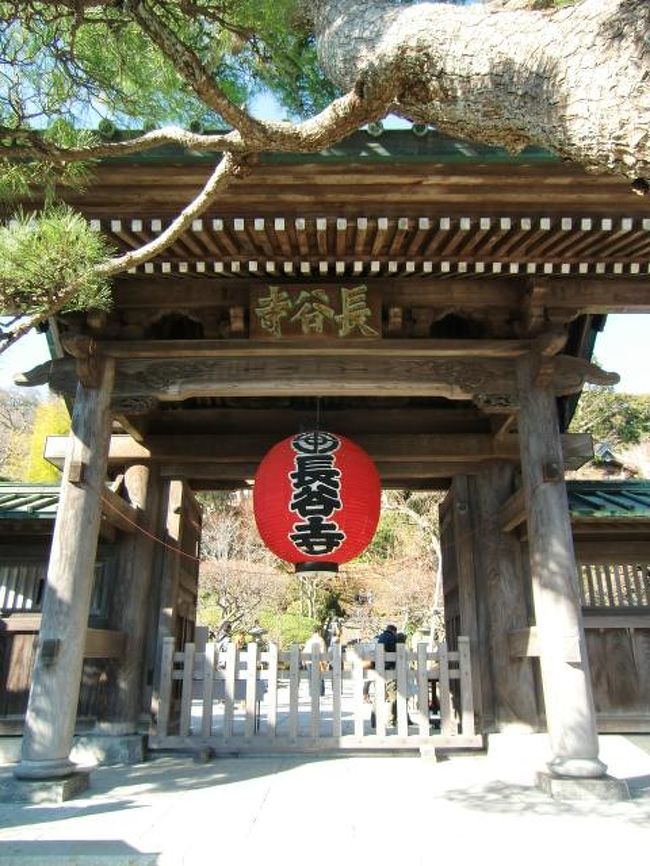 鎌倉散策 Vol 1 鎌倉 神奈川県 の旅行記 ブログ By かずさん フォートラベル 鎌倉散策 Vol 1 鎌倉 神奈川県 の旅行記 ブログ By かずさん フォートラベル