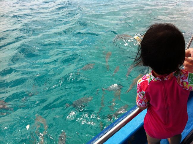 エサを撒いたらコイのように魚が・・・