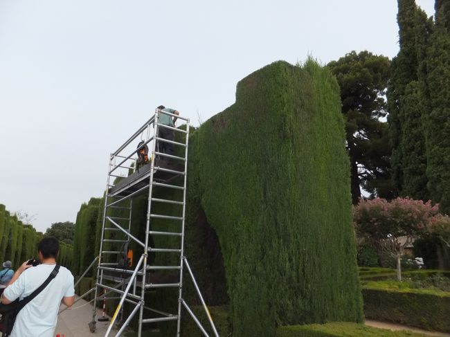 庭園見学後は、いよいよナスル朝宮殿内へ。<br /><br />