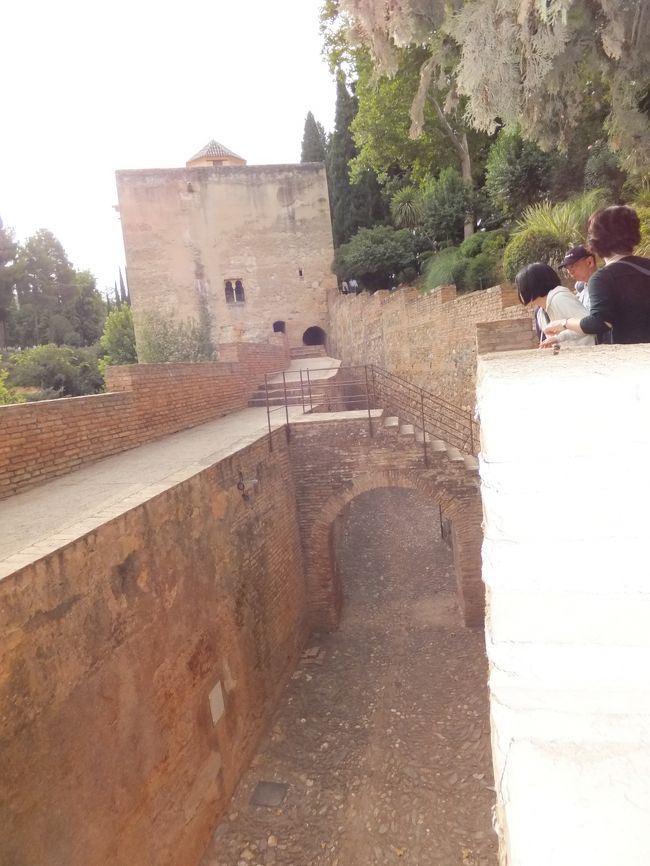 王女の塔<br /><br />１０：２０　見学終了。