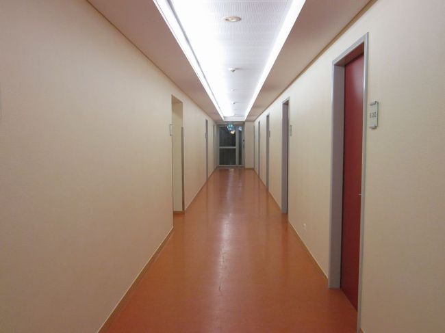 廊下も大変キレイです。