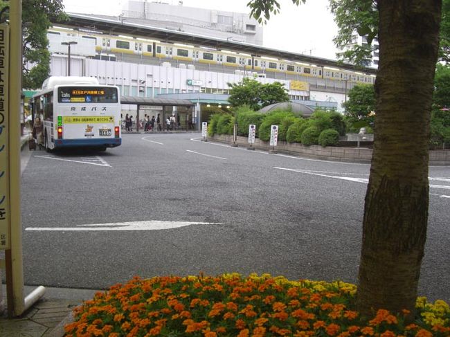 フラワーロード花壇コンクール 新小岩 小岩 東京 の旅行記 ブログ By Pedaruさん フォートラベル