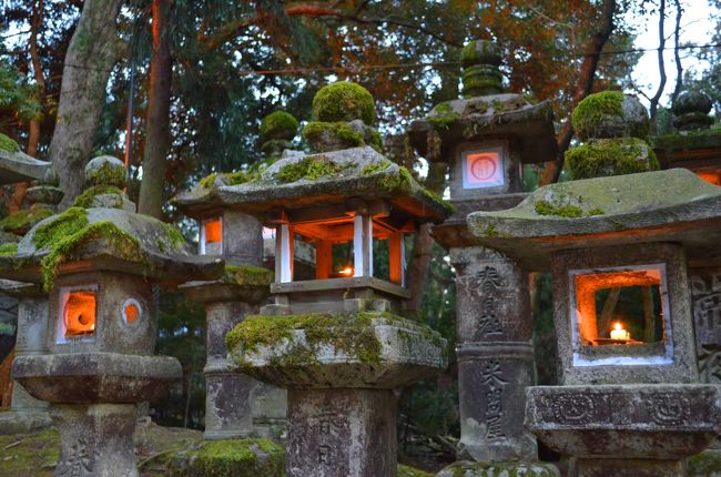 ゆらゆら揺れるろうそくの灯りに癒されます・・・