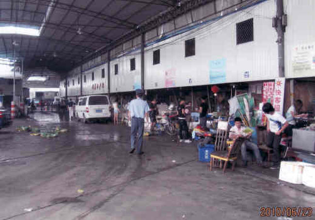 午後に行ったので「競り」は終わっています。