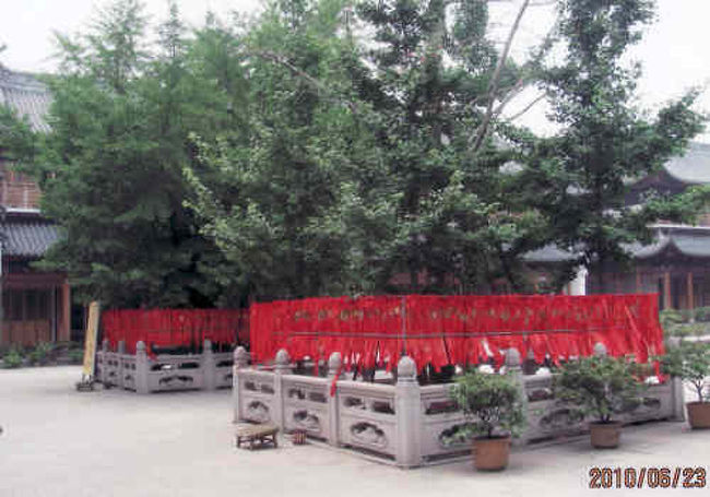 着に結び付けた赤い布は仏様と自分を結ぶ紐です。願い事を書いて樹に結び祈ります。<br /><br />