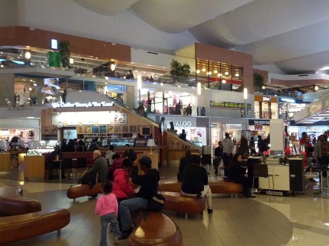 アシアナ航空OZ204で午後、ロサンゼルスに到着。実際は10時間以上飛行機に乗っているが、日付変更線を越えているので、日は変わっていない。同じ航空会社の接続便での乗り継ぎではないので、荷物を一旦ピックアップして、ターミナルを移動して、再度チェックイン。次の便まで６時間以上ある。<br />【エピソード】<br />ニューヨーク経由であればもう少し時間の都合のよい便があったのだが、クルーズプラネットの担当者が、冬のニュヨークの空港はリスクがあると教えて下さった。そして、それは見事に的中した。合衆国北部の空港は悪天候で閉鎖され、何千便もの欠航が出ている。全く救われた。