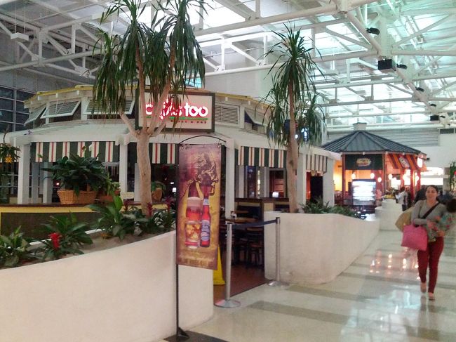 【２日目】<br />今回の旅行は、個人旅行で手配したので、港にたどり着くまでは自分の責任である。昨年、近ツリのツアーでアラスカへクルーズに行ったときに、同じツアーに参加していた人が、福岡空港から関西空港への飛行機が悪天候のためチャンセルになり、１日遅れとなり、途中の港から参加された。今回、我々は、不測の事態に備えて、一日前に港のあるフォートローデーダルへ行くことにした。