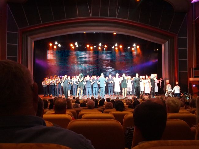 最後の夜。劇場でのさよなら講演。「語り」によるパフォーマンスが多かったので理解が難しい。音楽やダンスパフォーマンスの方がいいのにな。マジックショーが少しあった。これは理解できる。<br />【エピソード】<br />船内の衛生管理は厳しくされている。至る所に消毒薬が置かれている。実は、昨年、12月にカリブ海をクルーズしていたエメラルドプリンセスとクイーンメリー２でノロウィルスの集団感染があったらしい。数百人が感染したらしい。従来から船内の感染には神経が使われているが、今回は一層であったのではないかな。