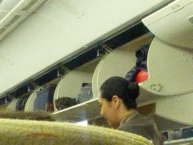 【１０日目】<br />ロサンゼルスではスターアライアンスのラウンジで時間を潰す。シャワーも浴びた。実に広々としたシャワールームで気持ち良くリフレッシュ。<br />日付が変わり、00:30発のOZ203で仁川空港へ向かう。<br />日付変更線を越えるので、１日後の朝7:00前に到着。約13時間のフライトである。