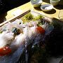 佐賀で焼き物と海鮮三昧！