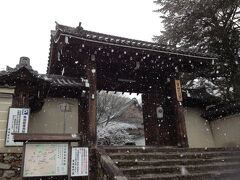 国際会館駅から京都バスで岩倉実相院へ。
終点で、バス停がすぐ目の前なので迷いません。
何人か乗っていましたが、ここを訪れたのは私ひとりでした。
ここでも雪が降ってました。