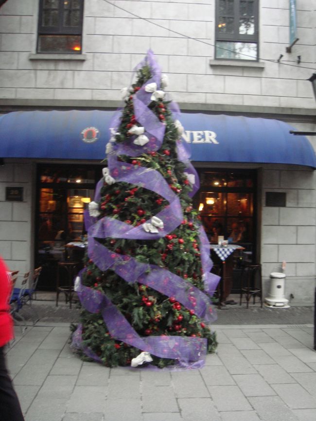 クリスマスツリーごとラッピング。