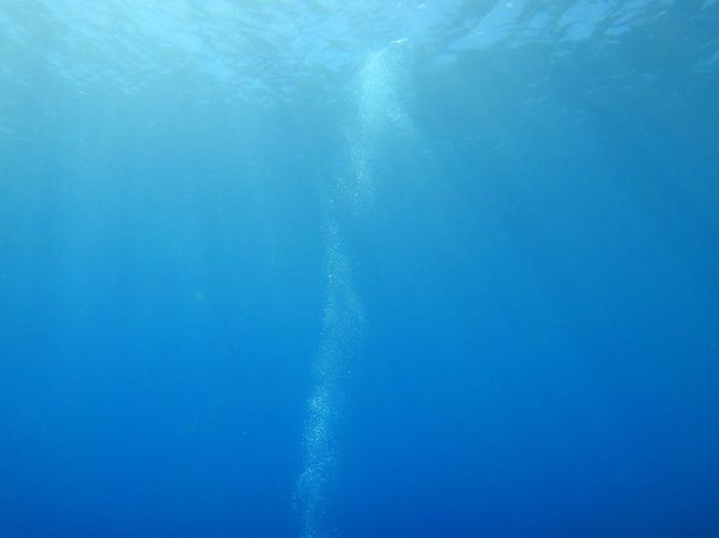 ダイビング始めたばっかりだから、なんだかこんな写真も撮りたくなるよね。