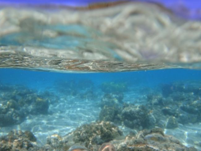 透明度は申し分なし！