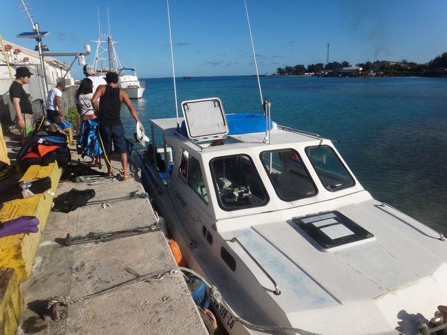 2日目はボートダイブ2本。