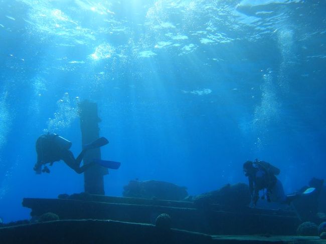 透明度がいいね〜。