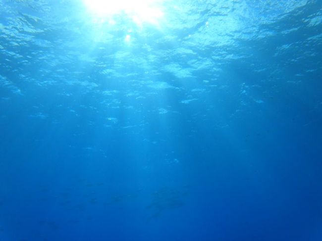 ポイントをダブルレッグに移動。いやー、キレイ！