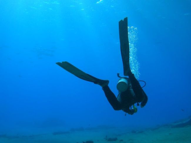 現地ガイドのカガさん。初心者のボクをいいポイントまでグイグイ引っ張ってくれます。