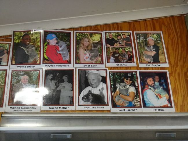 外タレさんも結構来てるｗ