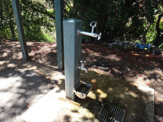 この水飲み場、何気ない感じだけど、ペットが大事にされている気がします。