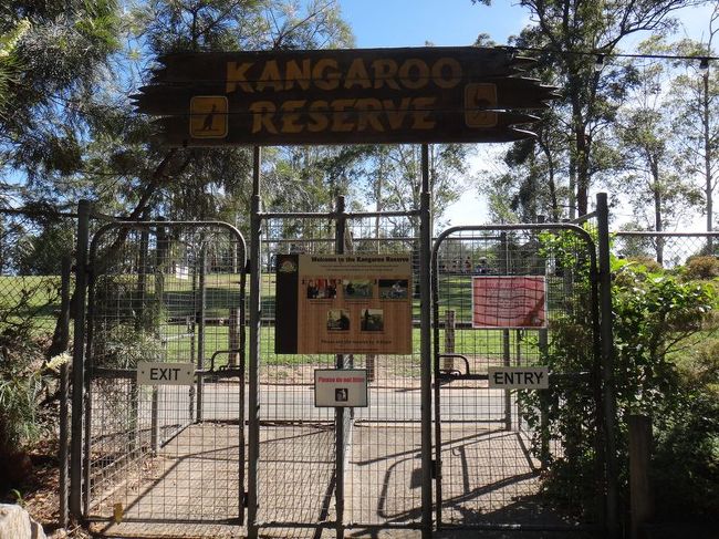 その他にもこんなエリアがあります。