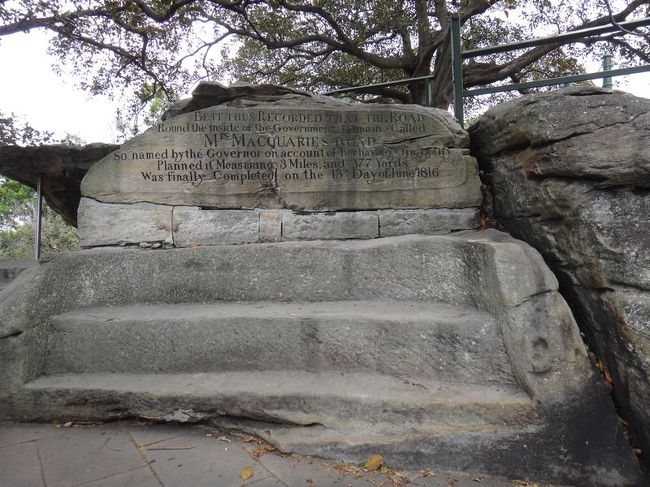 ミセス・マッコーリーズ・ポイント。ここも有名な場所とのこと。