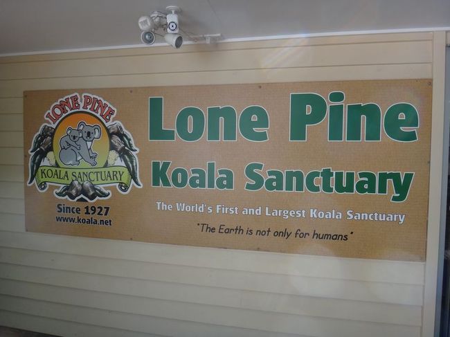 ブリスベンの近くにあるKOARA SANCTUARYっていう施設。