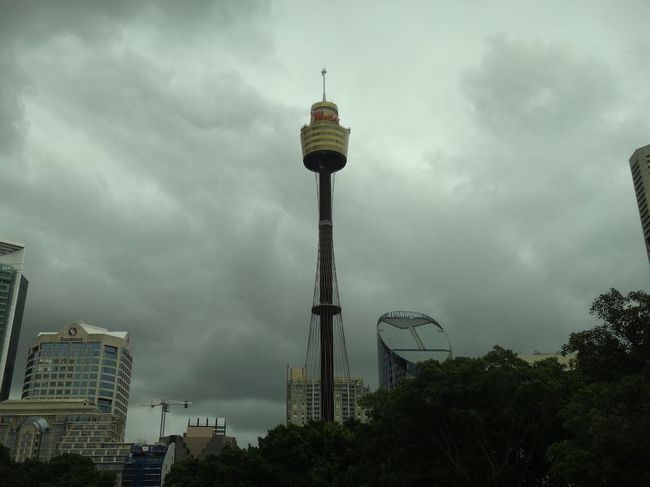 シドニーにまた戻って来ました。シドニータワーです。