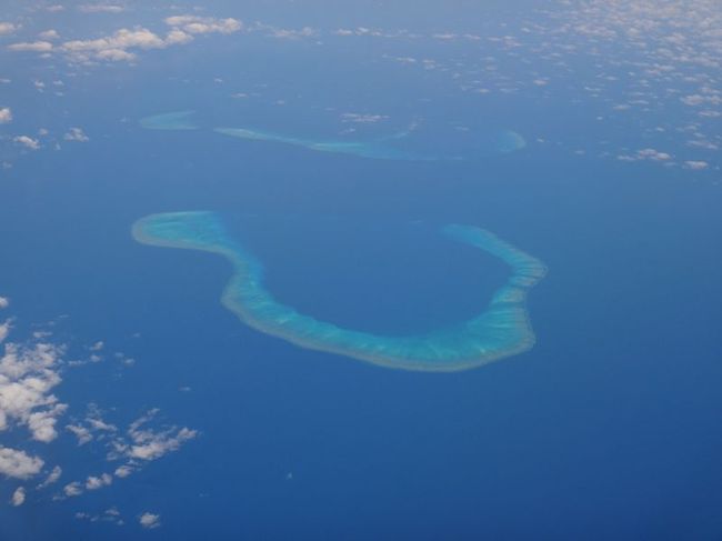 なんかサンゴ礁！？