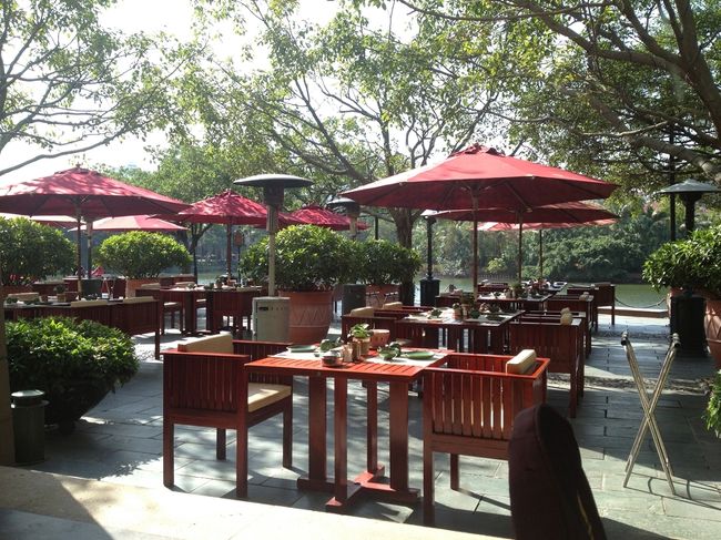 テラス席も素敵なお店ですが、この日も寒くて外で食事は無理！