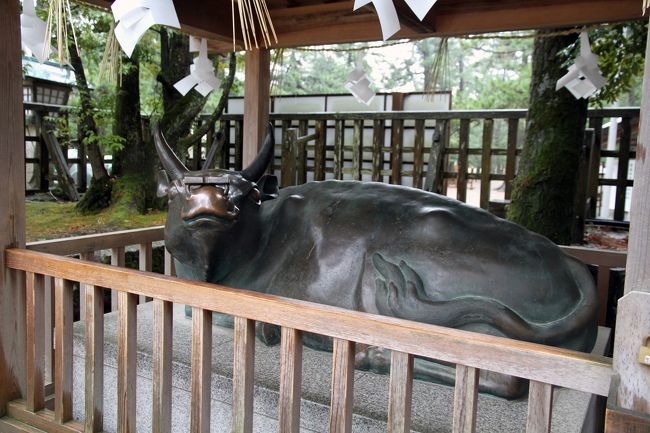 2012年仕事納め 鳥取・島根ロケハン8 島根県 出雲市 出雲大社~出雲阿国の墓~稲佐の浜