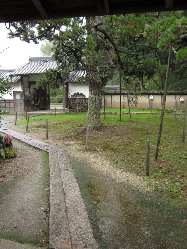 小降りになったりしていた、雨がここにきて雨脚が強くなってきました。<br /><br />もう勘弁して〜☆☆