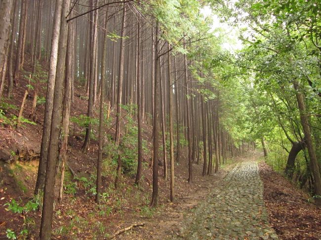 しかしまたこの道が薄暗くて怖い。<br /><br />石畳の道を進みます。