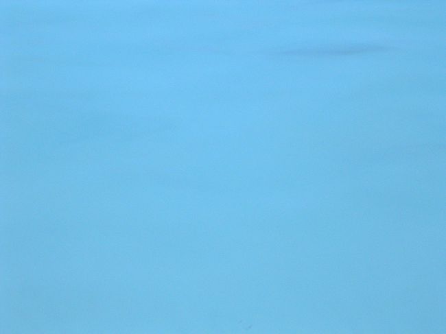 ほんとは魚が泳いでいるのですが、分かりませんね。スミマセン・・・。