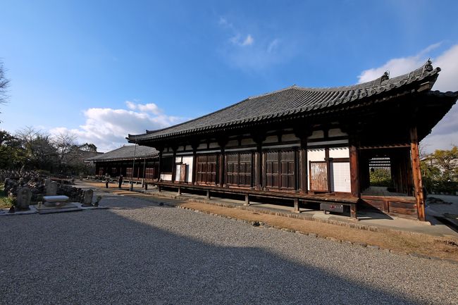 横からの極楽堂