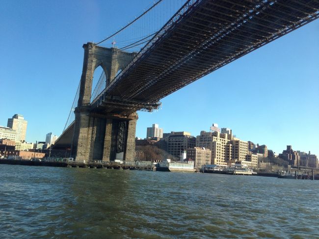 NYに行くまでは、ただの橋だと思ってたんですが、この時点でブルックリンブリッジのファンになってます( ^ω^ )絵になりますよね( ^ω^ )