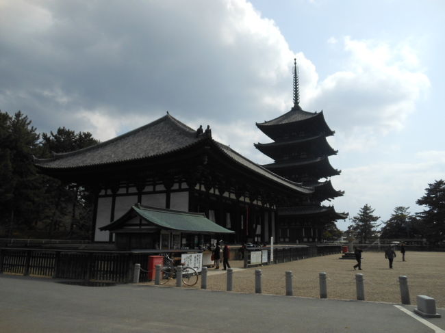 興福寺金堂と五重塔