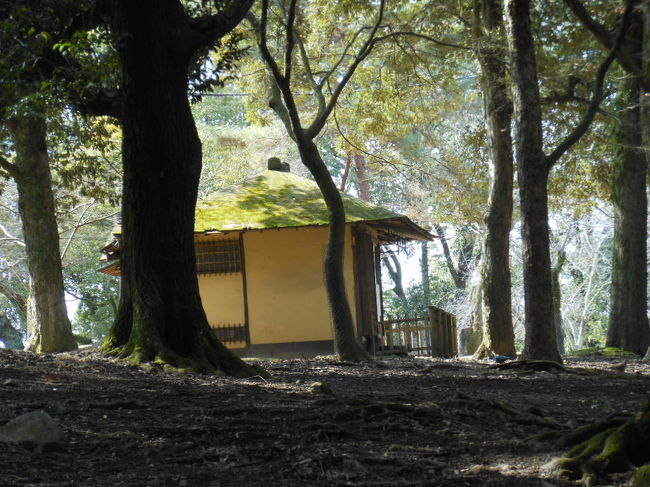 江戸三ホテルの離れ<br /><br />その他２，３棟ありました