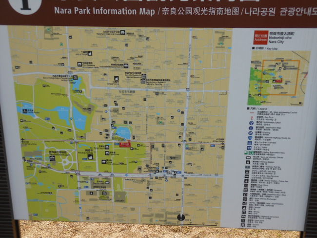 興福寺はこれで終わりです<br />この後、東大寺へ向かいます<br /><br />最後まで見て頂き　だんだん