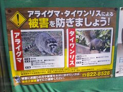 住宅街をぶらぶら追浜駅へ。

神武寺で見たリス。厄介者だったんですね。
ペットはきちんと管理しましょう。